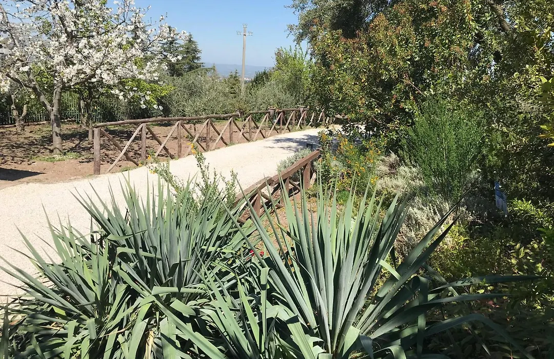 La Paloma B&B di Charme-1